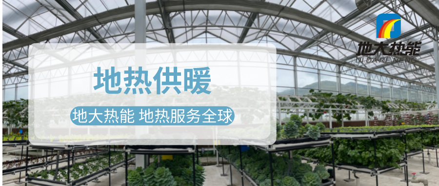 發(fā)揮地?zé)豳Y源優(yōu)勢，地?zé)徂r(nóng)業(yè)實(shí)現(xiàn)花卉產(chǎn)業(yè)特色發(fā)展 | 地大熱能 地?zé)岱?wù)全球
